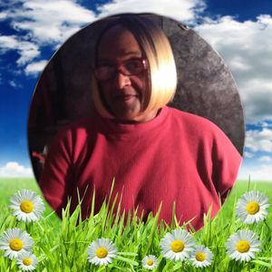 Meet your Posher, Minnie